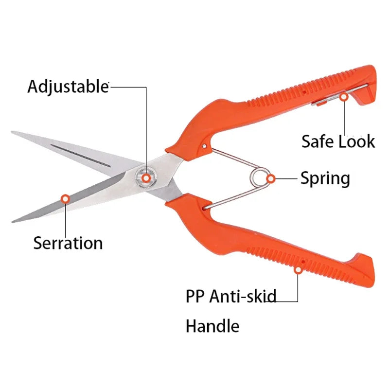 Grape Scissors Pruning Shears | Professional Stainless Steel Garden Tool