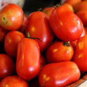 TOMATO Seeds, Roma